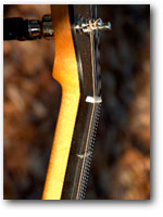 Open Back Banjos :: Click here for more information